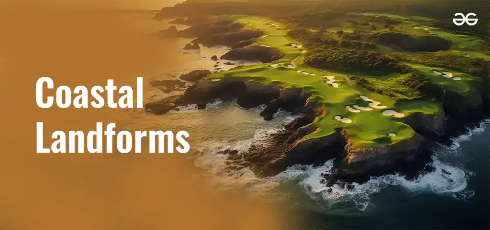 Coastal beach landscape